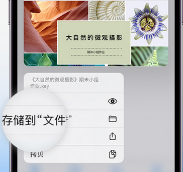 沅江apple维修中心分享iPhone文件应用中存储和找到下载文件