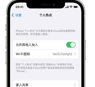 沅江apple服务站点分享iPhone上个人热点丢失了怎么办 