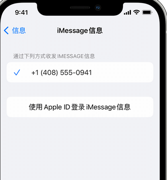 沅江apple维修iPhone上无法正常发送iMessage信息 