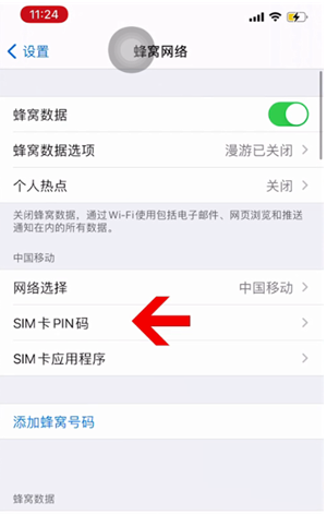 沅江苹果14维修网分享如何给iPhone14的SIM卡设置密码 