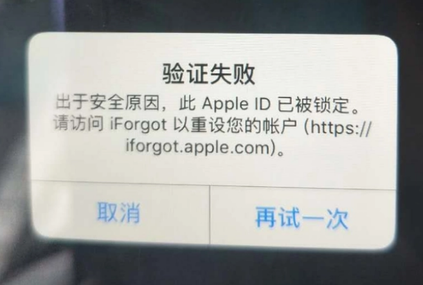 沅江iPhone维修分享iPhone上正常登录或使用AppleID怎么办 