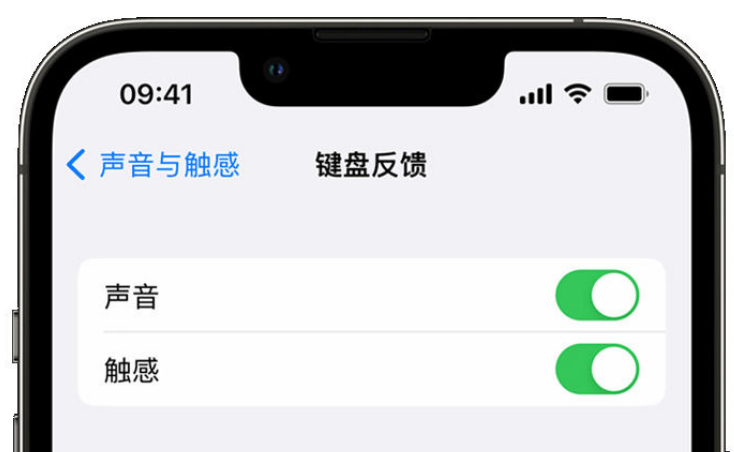 沅江苹果手机维修分享iPhone 14触感键盘使用方法 