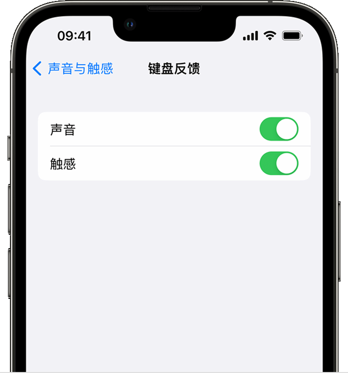 沅江苹果14维修店分享如何在 iPhone 14 机型中使用触感键盘 