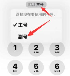 沅江苹果14维修店分享iPhone 14 Pro Max使用副卡打电话的方法 