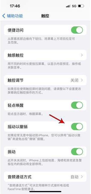 沅江苹果手机维修分享iPhone手机如何设置摇一摇删除文字 